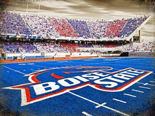boise smurf turf