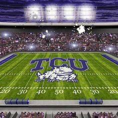 tcu stadium