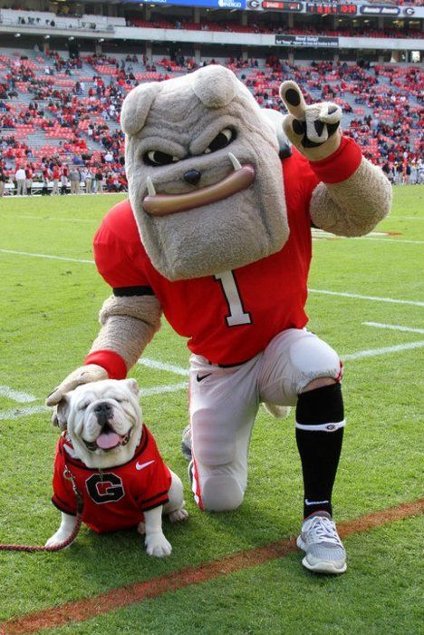 Georgia Bulldogs 2018 NCAA Football Preview