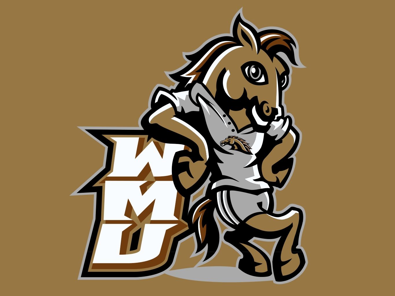 Western Michigan Broncos 2018 NCAA Football Preview