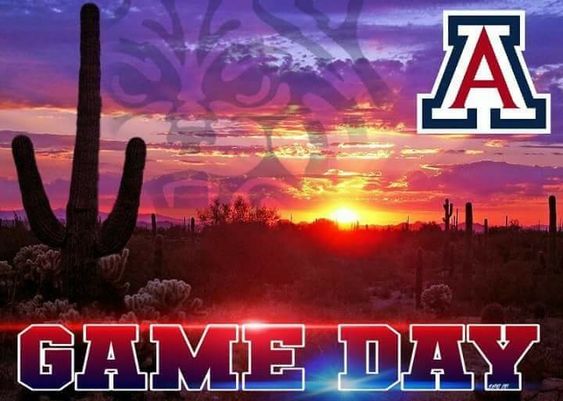 Arizona Wildcats 2019 College Football Preview