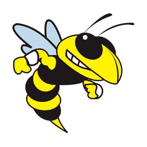 Georgia Tech Yellow Jackets 2019 College Football Preview