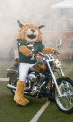 Ohio Bobcats 2020 College Football Preview