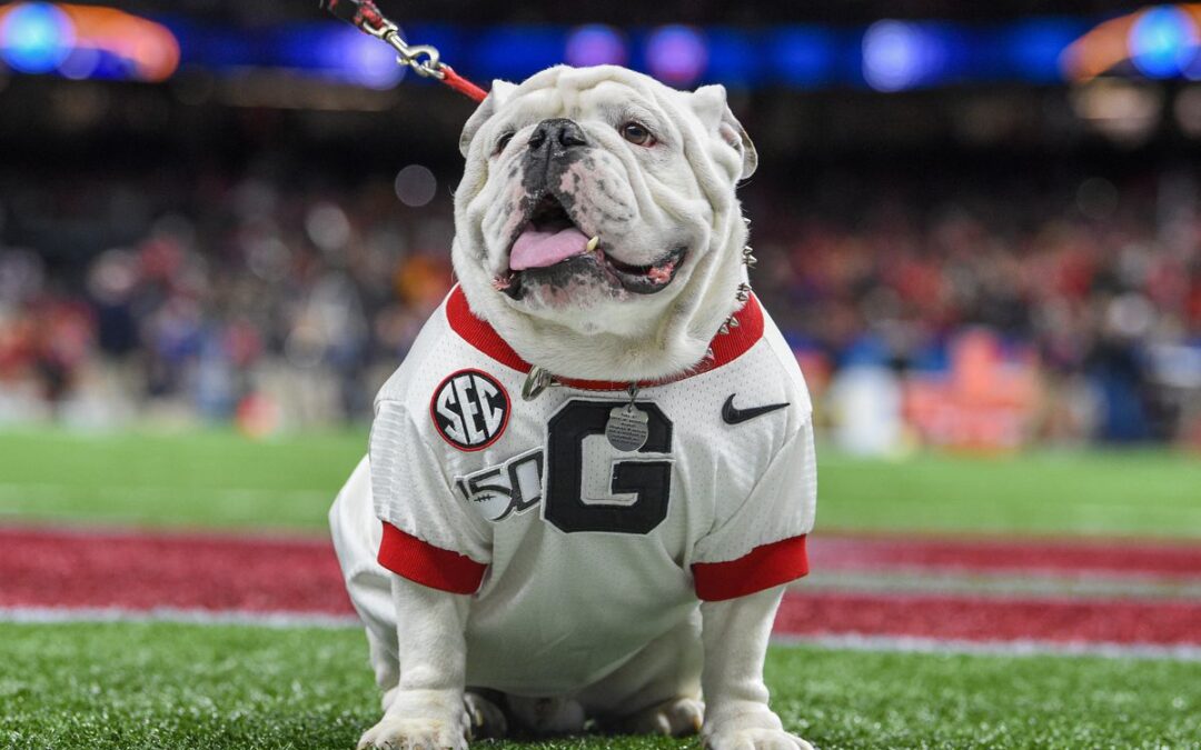 Georgia Bulldogs 2021 College Football Preview