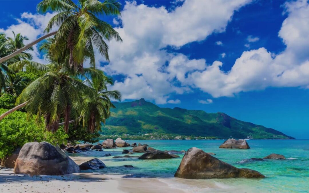 2021 Hawaii Bowl – Memphis vs Hawaii