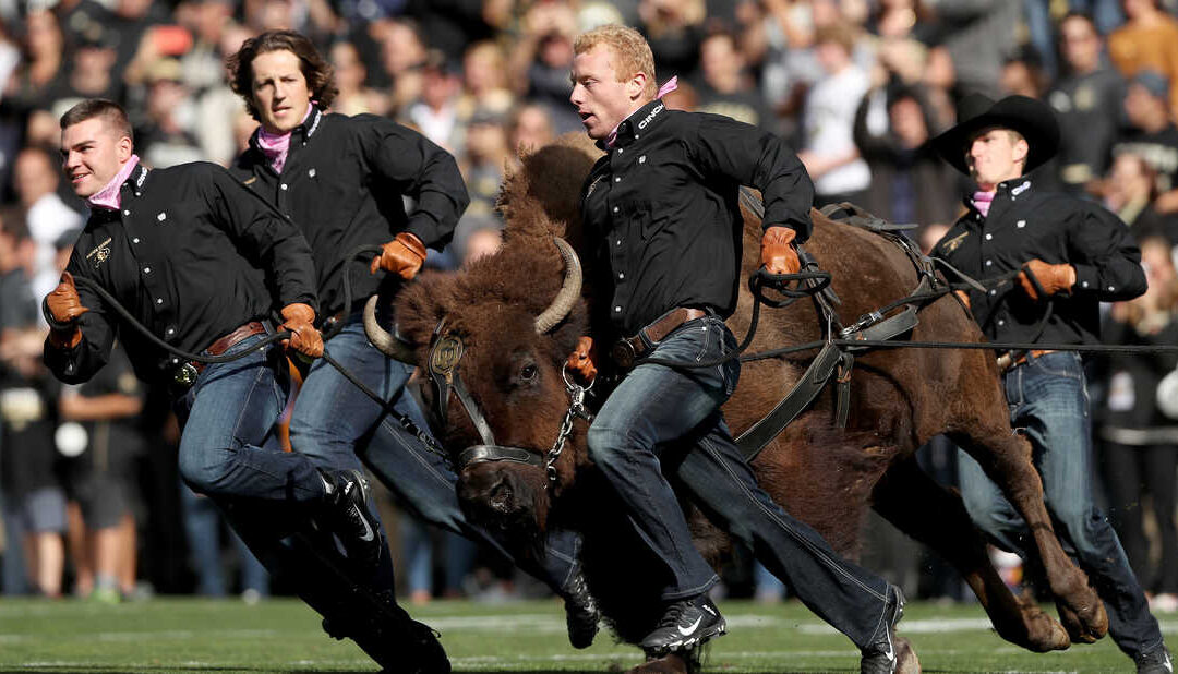Colorado Buffaloes 2022 College Football Preview