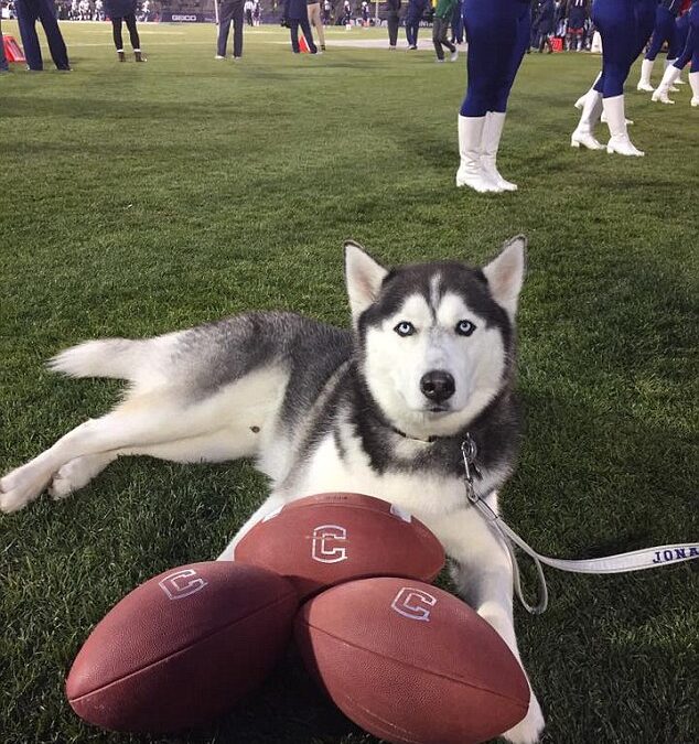 Connecticut Huskies 2022 College Football Preview