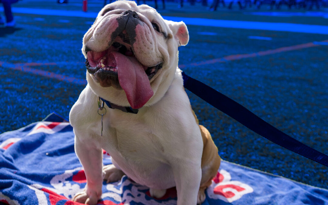Louisiana Tech Bulldogs 2022 College Football Preview