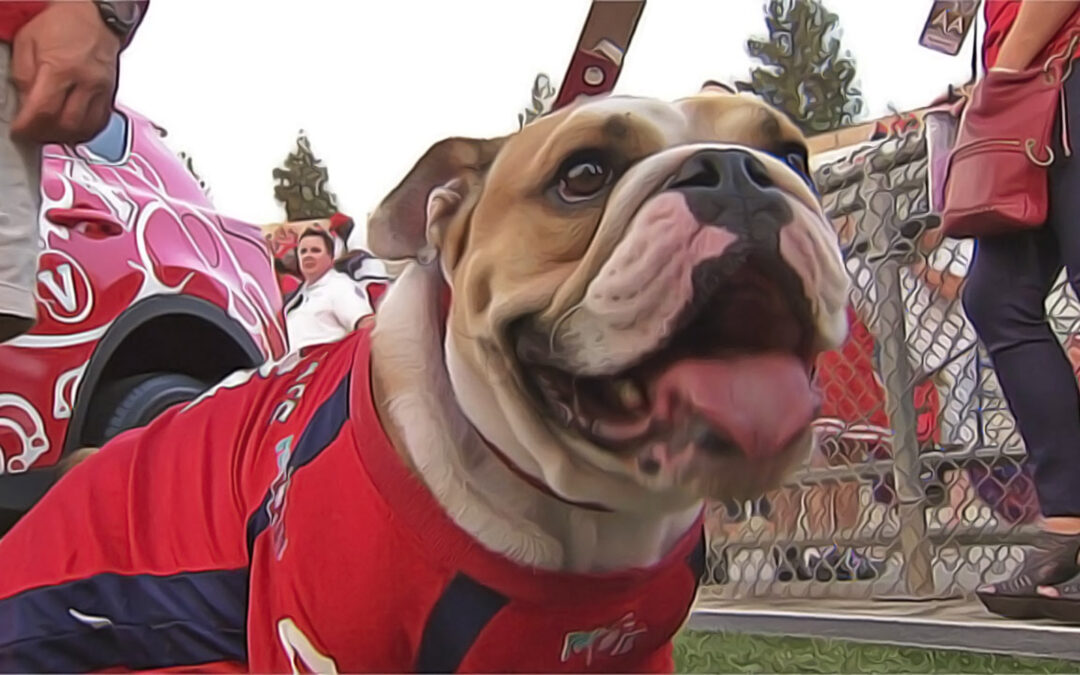 Fresno St Bulldogs 2022 College Football Preview
